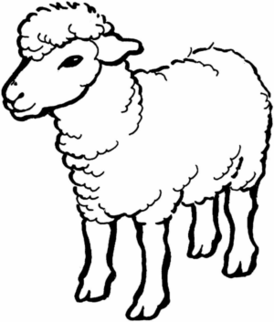 Disegno di pecora da stampare e colorare 76