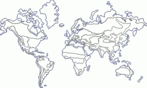 Disegno di cartina geografica da stampare e colorare 9