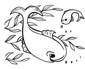 Disegno di balena da stampare e colorare 2