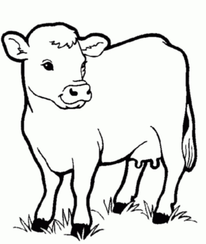 Disegno di mucca da stampare e colorare 90