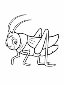 Disegno di grillo da stampare e colorare 16