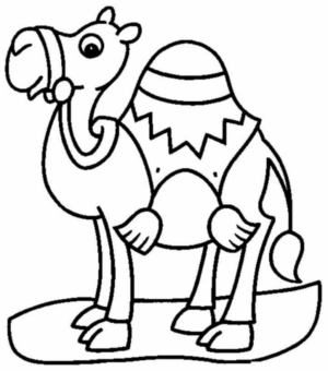 Disegno di dromedario da stampare e colorare 4