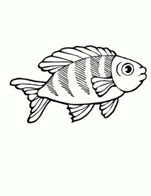 Disegno di pesce da stampare e colorare 228