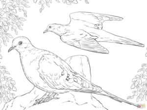 Disegno di colomba da stampare e colorare 47