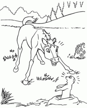 Disegno di cavallo da stampare e colorare 17