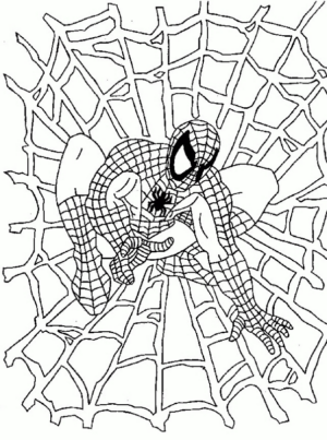 Disegno di Spiderman da stampare e colorare 133