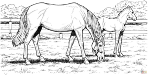 Disegno di cavallo da stampare e colorare 96