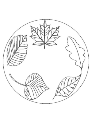 Disegno di foglia da stampare e colorare 131
