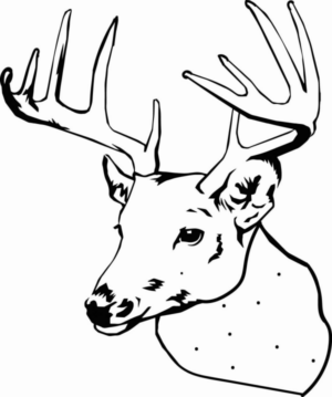 Disegno di cervo da stampare e colorare 47
