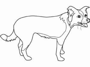 Disegno di volpe da stampare e colorare 21