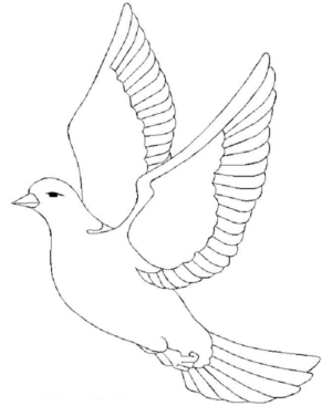 Disegno di colomba da stampare e colorare 41