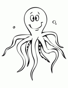 Disegno di polpo da stampare e colorare 14