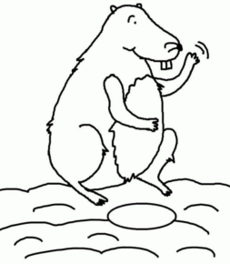 Disegno di criceto da stampare e colorare
