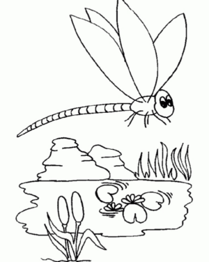 Disegno di libellula da stampare e colorare 38