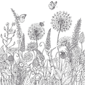 Disegno di mandala da stampare e colorare 980