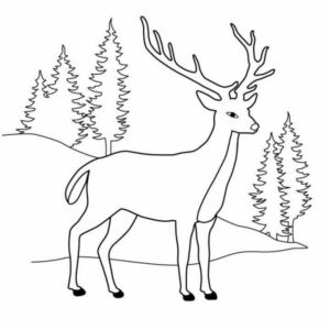 Disegno di cervo da stampare e colorare 52
