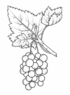 Disegno di uva da stampare e colorare 13