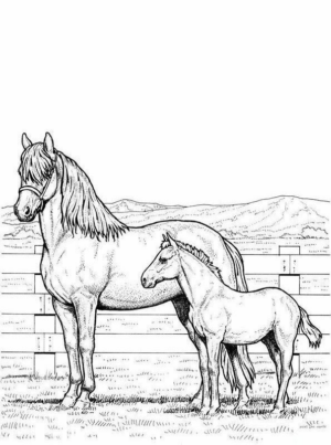 Disegno di cavallo da stampare e colorare 231