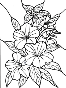 Disegno di fiore da stampare e colorare 311