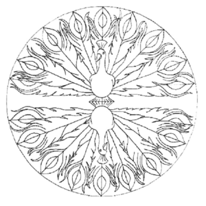 Disegno di pavone da stampare e colorare 5
