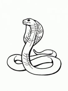 Disegno di serpente da stampare e colorare 16