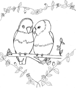 Disegno di pappagallo da stampare e colorare 176
