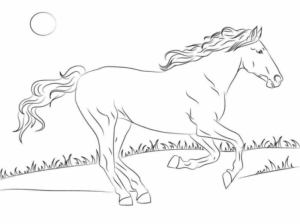 Disegno di cavallo da stampare e colorare 224