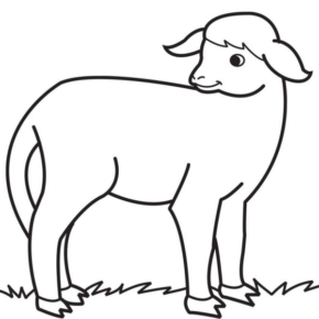 Disegno di pecora da stampare e colorare 32