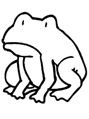 Disegno di rana da stampare e colorare 22