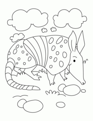 Disegno di armadillo da stampare e colorare 3