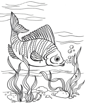 Disegno di pesce da stampare e colorare 146