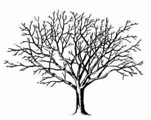 Disegno di albero da stampare e colorare 118