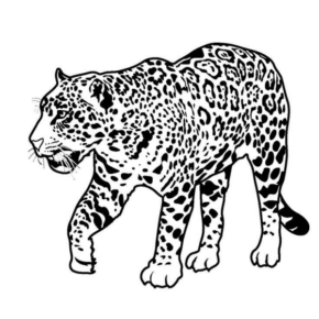 Disegno di leopardo da stampare e colorare 8