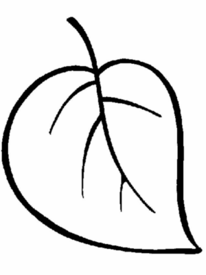 Disegno di foglia da stampare e colorare 16