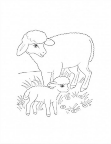 Disegno di pecora da stampare e colorare 69
