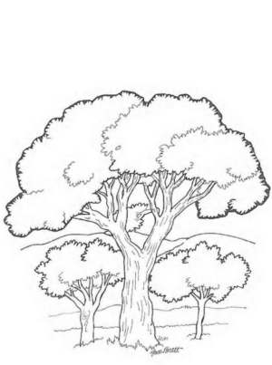 Disegno di albero da stampare e colorare 49