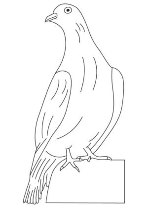 Disegno di colomba da stampare e colorare 51