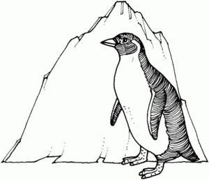 Disegno di pinguino da stampare e colorare 51