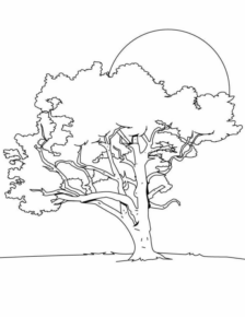 Disegno di albero da stampare e colorare 125