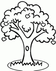Disegno di albero da frutta da stampare e colorare 25