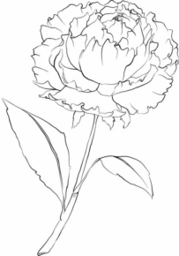 Disegno di fiore da stampare e colorare 112
