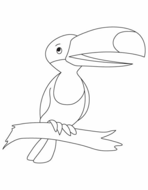 Disegno di tucano da stampare e colorare 7