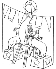 Disegno di foca da stampare e colorare 17