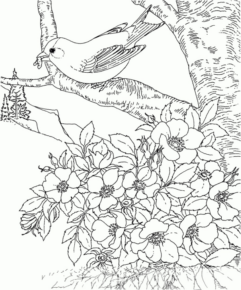 Disegno di uccello da stampare e colorare 116
