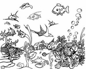Disegno di pesce da stampare e colorare 290