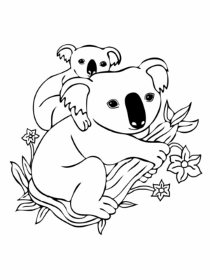 Disegno di koala da stampare e colorare 30
