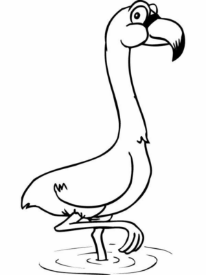 Disegno di fenicottero da stampare e colorare 20