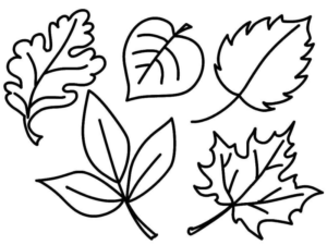 Disegno di foglia da stampare e colorare 168