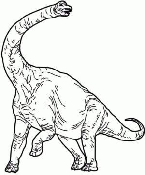 Disegno di Brontosauro da stampare e colorare 28