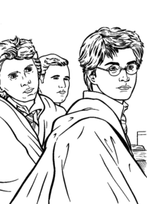 Disegno di Harry Potter da stampare e colorare 121